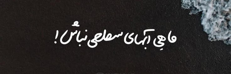 حامد زارعی 