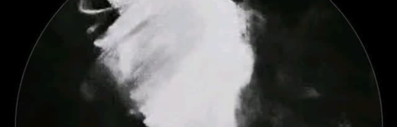 رادین وافی