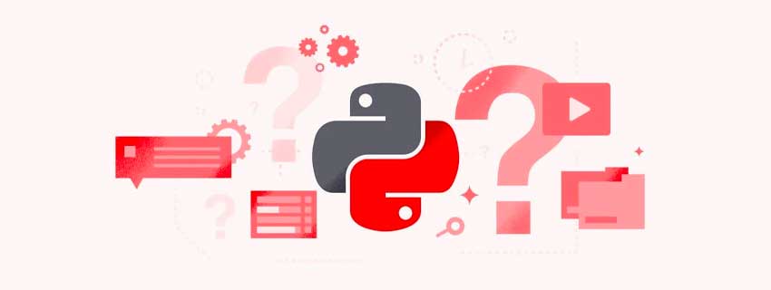 چه زمانی باید از Python استفاده کنید و چقدر می‌تواند به سود کسب و کار شما باشد؟