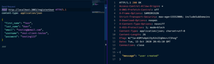 درخواست POST را که از طریق VS Code در سمت چپ ارسال کردم و یک پنل دوم که در سمت راست باز شد تا پاسخ را به من نشان دهد