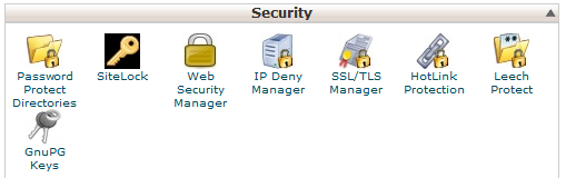 https در وردپرس