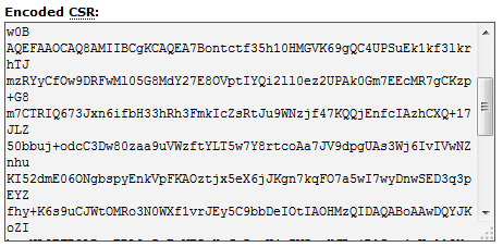 https در وردپرس