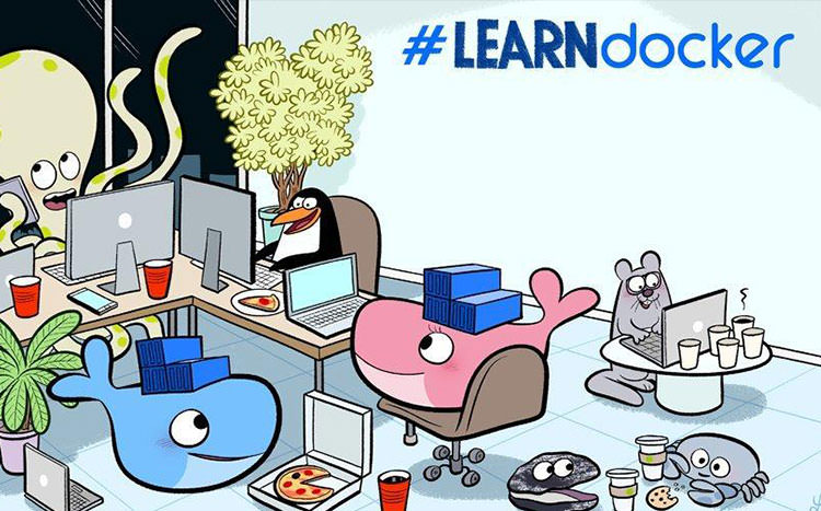 منابع تازه برای طراحان وب و توسعه دهندگان در سال ۲۰۱۹